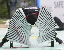 Hàn Quốc tung đặc nhiệm ra bảo vệ G20