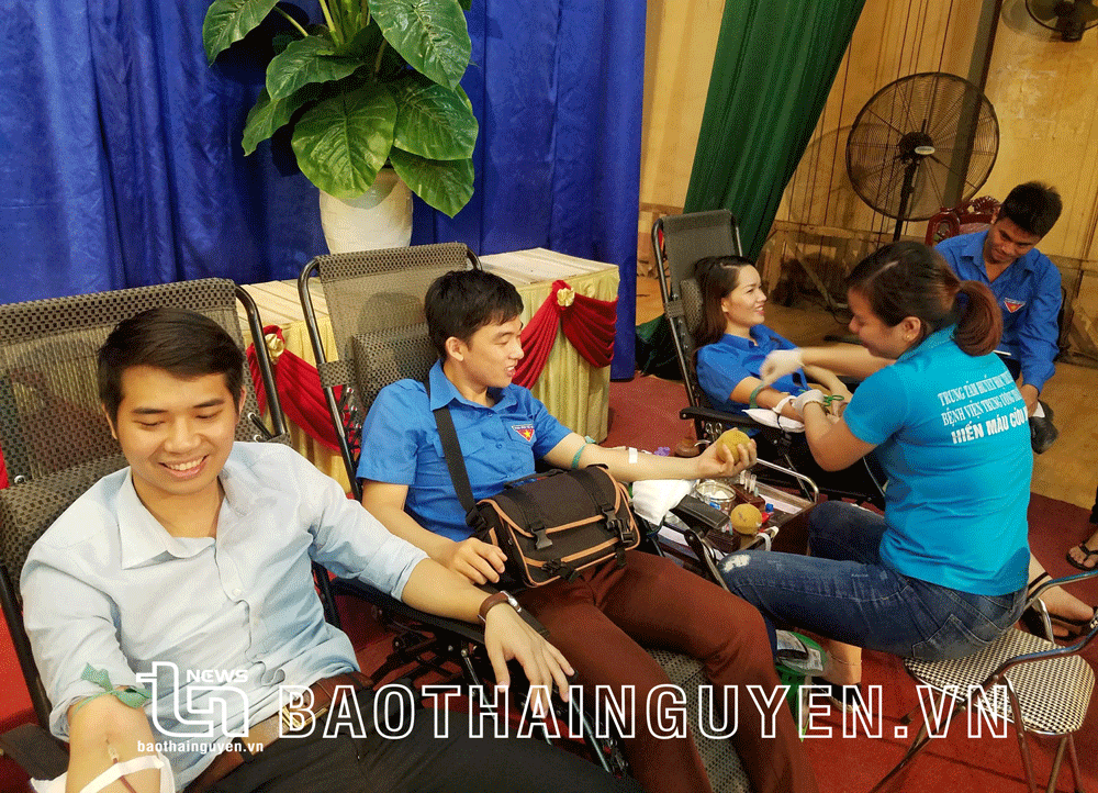 Tuổi trẻ sáng tạo trong lao động sản xuất