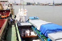 Việt Nam trúng thầu xuất 500.000 tấn gạo sang Philippines