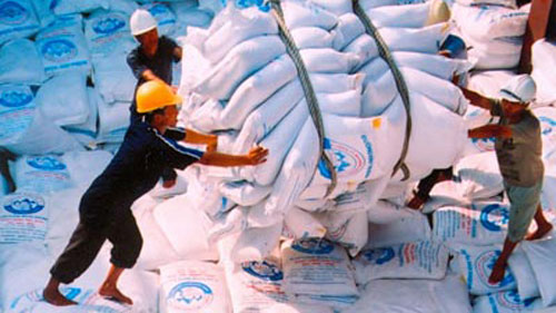 Việt Nam chưa sản xuất được cây trồng biến đổi gen