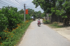 Ghi nhận từ một phong trào lớn