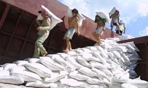 Giá sàn gạo xuất khẩu tăng thêm 10USD/tấn