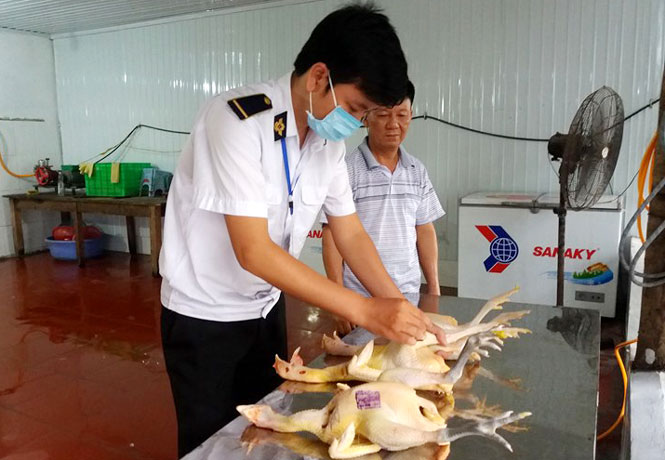 Quản lý hoạt động giết mổ, kinh doanh sản phẩm động vật