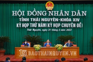 Kỳ họp chuyên đề HĐND tỉnh: Thảo luận nhiều nội dung quan trọng