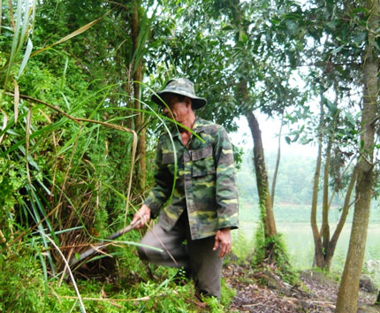 Người hồi sinh đảo hoang