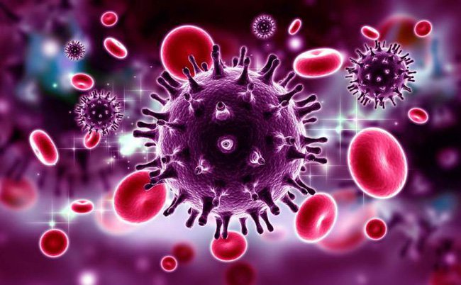 Tác động của virus HIV tới hệ thống miễn dịch trẻ - Báo Thái ...