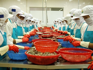 Hỗ trợ thương nhân khi mua bảo hiểm tín dụng xuất khẩu