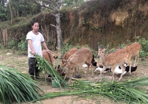 Không ngừng mở rộng quy mô chăn nuôi