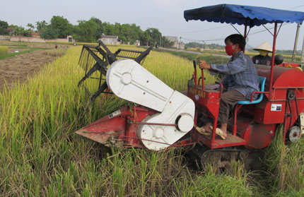 Rào cản trong phát triển nông nghiệp hàng hóa