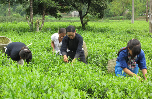 Xây dựng nông thôn mới: Kinh nghiệm ở La Bằng