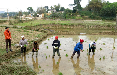 Khi đảng viên đầu tàu, gương mẫu