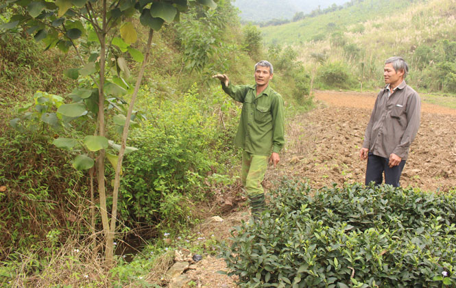 Sớm giải quyết việc chồng lấn đất của người dân