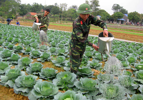 Bảo đảm "thực túc - binh cường"