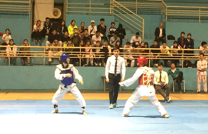 Tổ chức giải Taekwondo và Vovinam