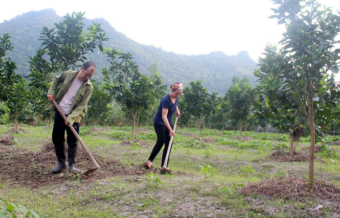 Phú Thượng vững đà phát triển