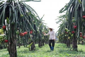 “Đánh thức” chốn thâm sơn