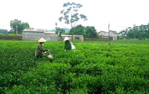 Để xứng đáng là điểm sáng của khu vực miền núi phía Bắc