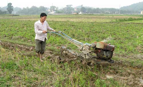Chuẩn bị tốt các điều kiện gieo trồng vụ xuân