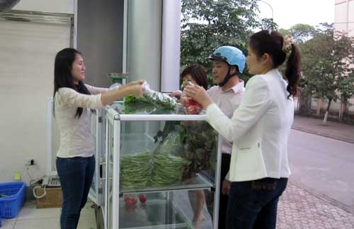 Sản xuất rau an toàn – hiệu quả nhưng khó nhân rộng