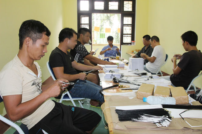 Hết tháng 11, tổ chức cai nghiện cho trên 1,6 nghìn người