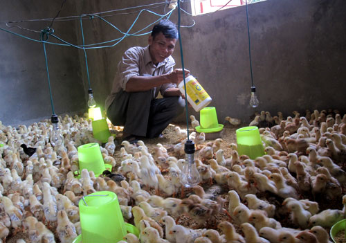 Bước chuyển ở một xóm nghèo