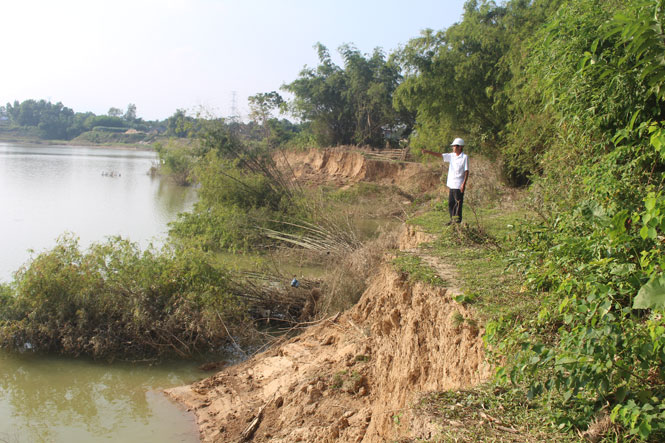 Cần khắc phục tình trạng sạt lở kè Đô Tân - Vạn Phái