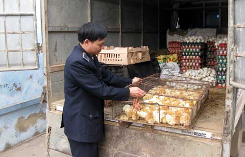 Thu giữ trên 6.700 quả trứng gia cầm không rõ nguồn gốc