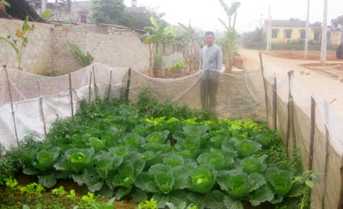 Hồi sinh nơi đât mới