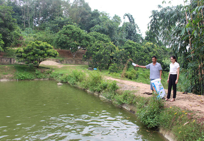 Vươn lên ở vùng đất khó