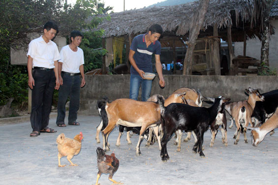 Tăng cường lực lượng cho tổ chức cơ sở đảng