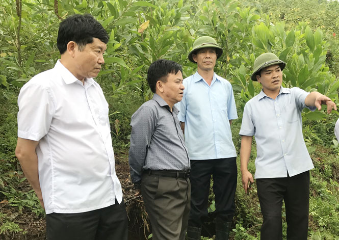 Đoàn công tác Trung ương kiểm tra phòng, chống thiên tai tại Thái Nguyên