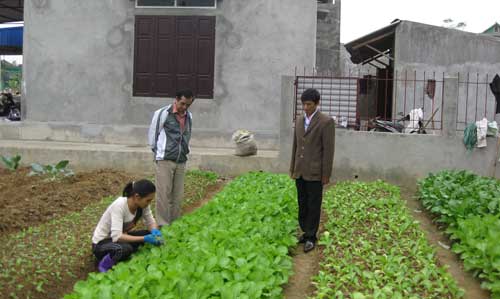 Những “quan tòa” ở xóm