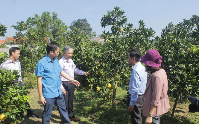 Hội viên Hội Nhà báo tỉnh đi thực tế tại huyện Võ Nhai