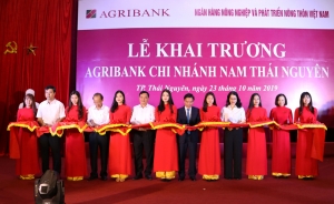 Khai trương Agribank Chi nhánh Nam Thái Nguyên