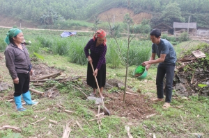 Hỗ trợ đồng bào dân tộc thiểu số phát triển kinh tế 