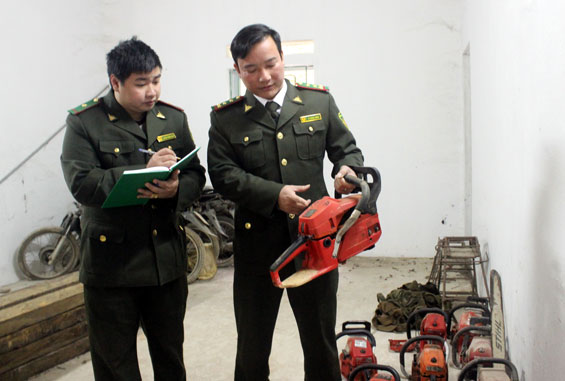 Giảm hơn 40% số vụ vi phạm trong lĩnh vực bảo vệ rừng