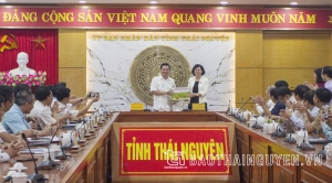 Trao đổi kinh nghiệm chuyển đổi số giữa Thái Nguyên và Bình Phước