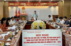 Ban Kinh tế - Ngân sách: Thẩm tra 11 nội dung trình kỳ họp chuyên đề HĐND tỉnh