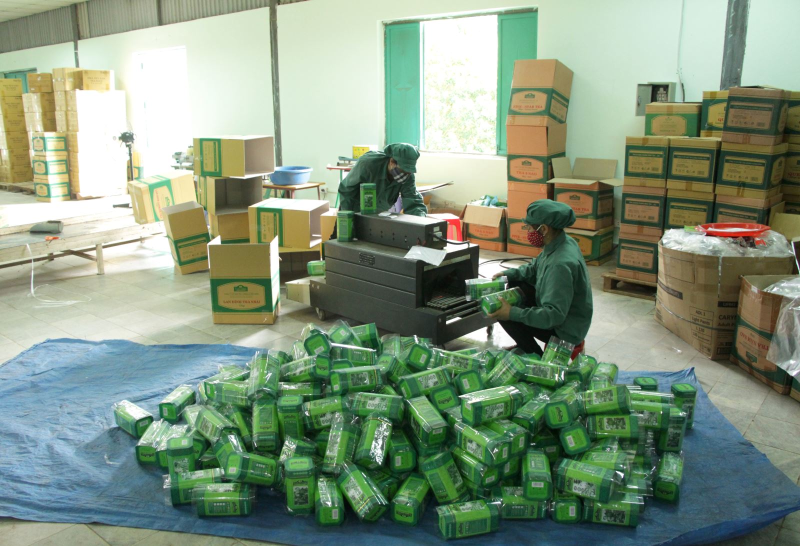 Chè xuất khẩu tăng cao trong tháng 1