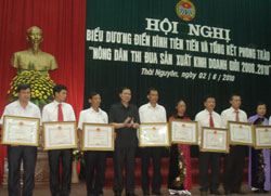 Trên 30 nghìn hội viên nông dân được khen thưởng