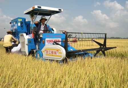 Kim ngạch xuất khẩu gạo đến ngày 16/7 đạt hơn 1,2 tỷ USD