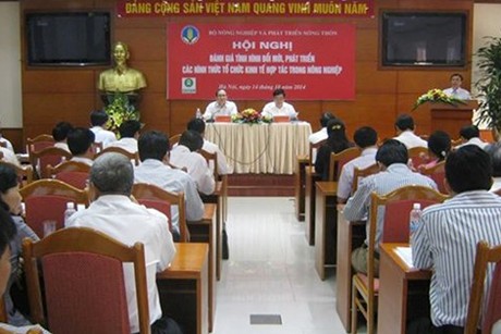 Sẽ giải thể 2.500 HTX hoạt động không hiệu quả