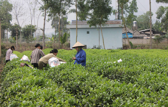 Miền quê La Bằng