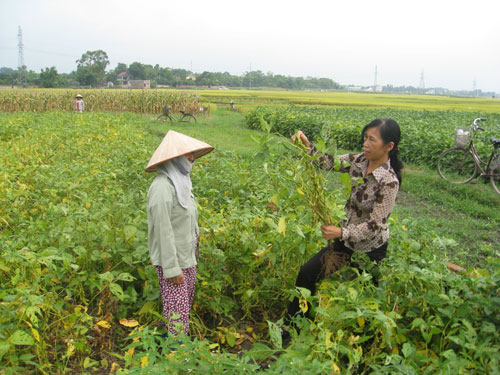 Thông tin văn bản, chính sách nổi bật trong tuần