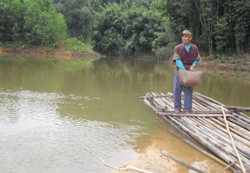 Tuổi cao vẫn nuôi chí làm giàu