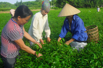 Chuyển biến trong xây dựng đời sống văn hóa ở xóm 1