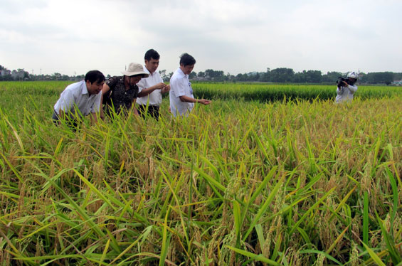 Thực hiện tiêu chí văn hoá ở Lương Phú