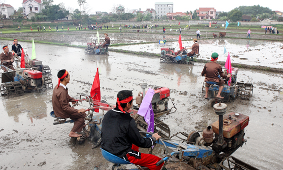 Mùa Xuân vui Hội Xuống đồng