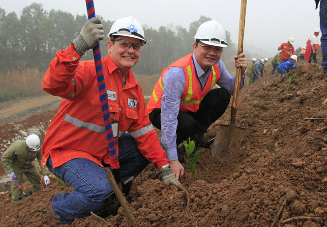 NuiPháo Mining: Trồng keo lai phủ xanh khu vực bãi thải phía Bắc