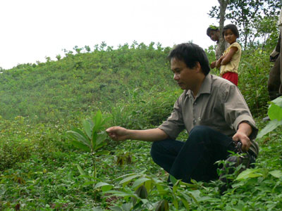 Trồng rừng phòng hộ vượt 19% kế hoạch